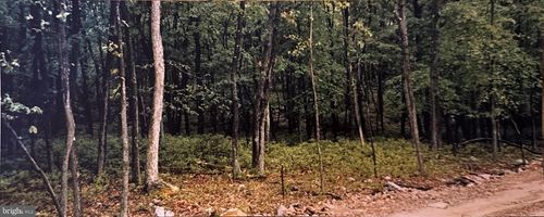 Lot 135 &amp; 136 Corn Silk Ave., Hazle Township, PA, 18201 | Card Image