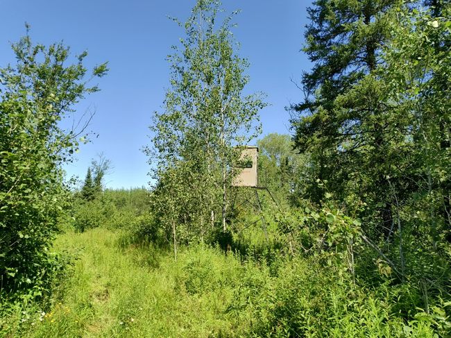 16499 Hwy 45, Home with 0 bedrooms, 0 bathrooms and null parking in Bruce Crossing MI | Image 20