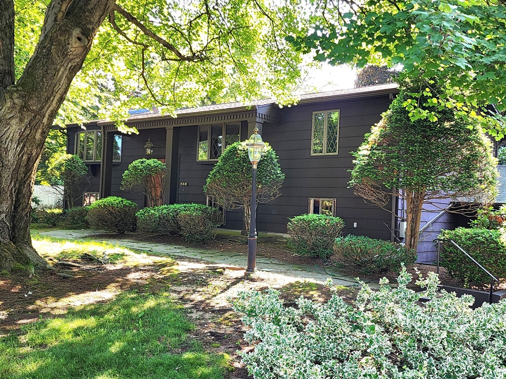 244 Lathrop St, Pending in South Hadley - eXp Realty