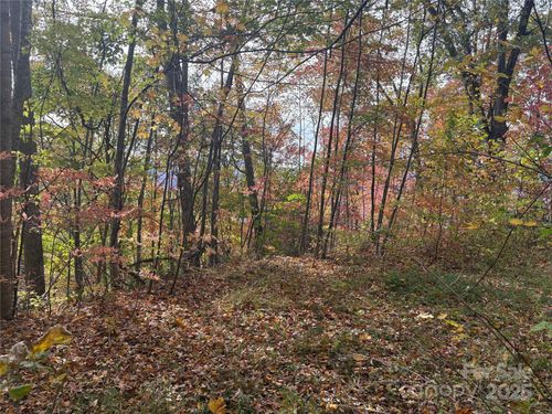 899 Hyacinth Dr, Clyde, NC, 28721 | Card Image