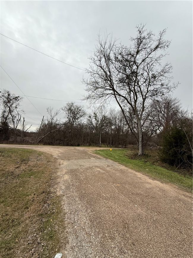 View of road | Image 6