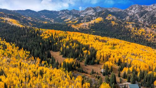 12490 E Old Stage Rd, Brighton, UT, 84121 | Card Image