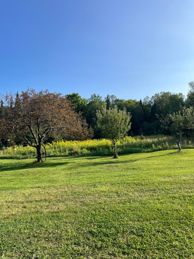 182 Woodlot Rd, House other with 3 bedrooms, 1 bathrooms and null parking in Crystal Falls MI | Image 47
