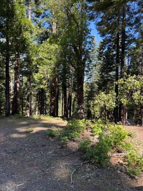 1619 Shoshone, Dorrington, CA, 95223 | Card Image