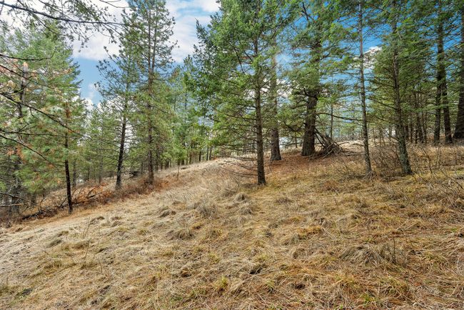 435 Windsor Dr, Home with 0 bedrooms, 0 bathrooms and null parking in Bigfork MT | Image 5
