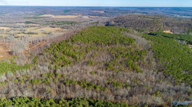 80 acres Rock Creek Rd, Home with 0 bedrooms, 0 bathrooms and null parking in Eva AL | Image 14