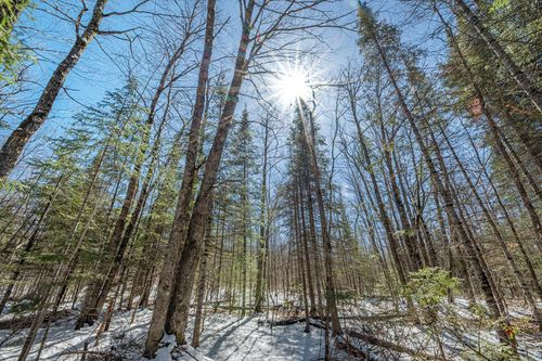 56.97 ac State Highway 77, Upson, WI, 54565 | Card Image