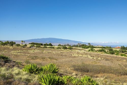 4 Kinohou St, KAMUELA, HI, 96743 | Card Image