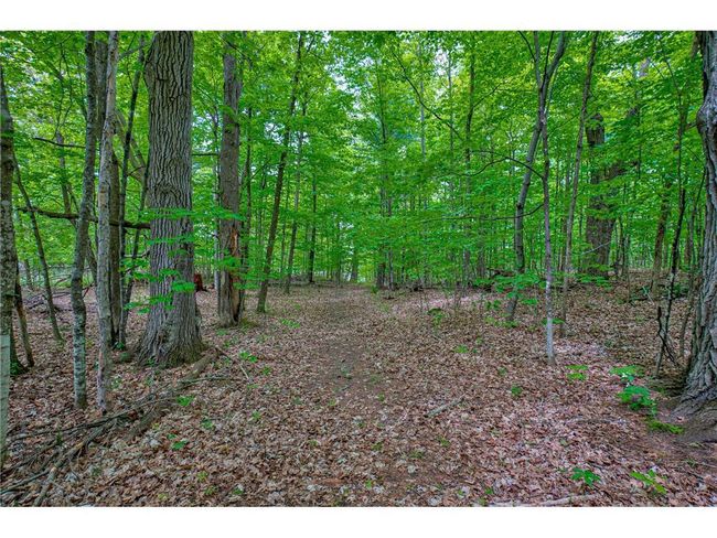 N872 County Highway Md, Home with 0 bedrooms, 0 bathrooms and null parking in SARONA WI | Image 16
