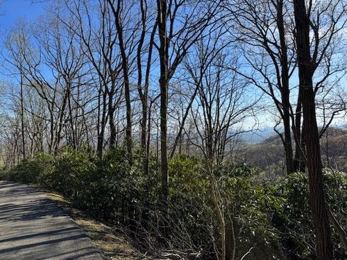 TBD Buck Hollar Rd, Hillsville, VA, 24343 | Card Image