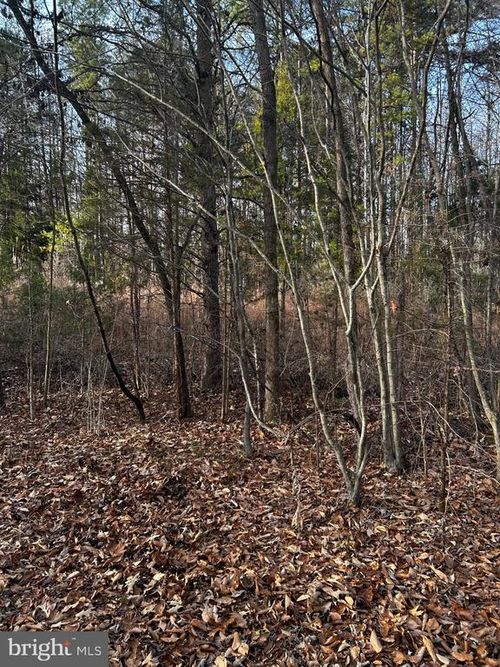 0 Bagwell Dr, Scottsburg, VA, 24589 | Card Image