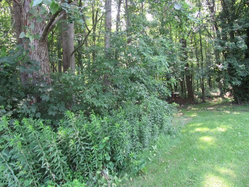 100 Lavoie Ave, Swanton, VT, 05488 | Card Image