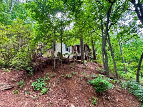 895 Newman Ct, Ranger, GA, 30734 | Card Image
