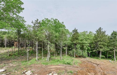 22595 Highway O, Wright City, MO, 63390 | Card Image
