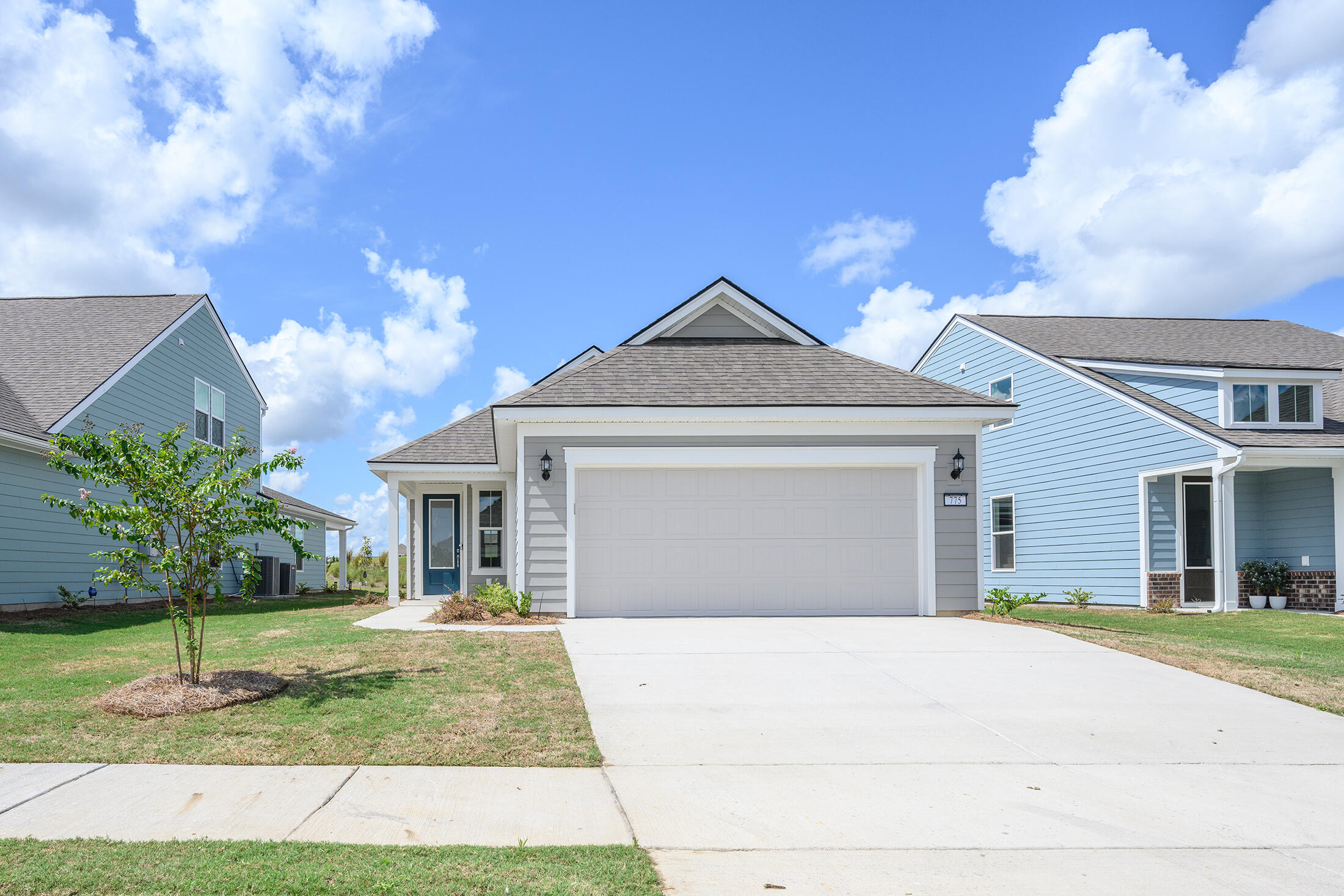 Blue Iris Way, Summerville, SC 29486
