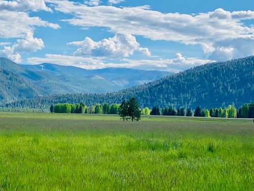 20 Cabinet View Ln, Trout Creek, MT, 59874-1006 | Card Image