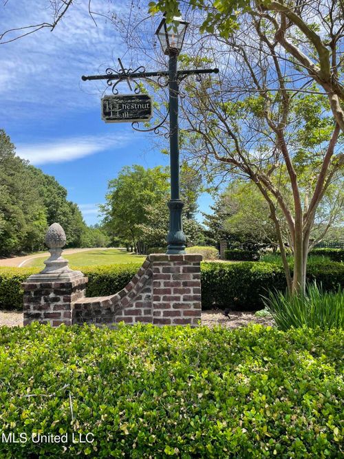 91 Moonlight Holw, Flora, MS, 39071 | Card Image