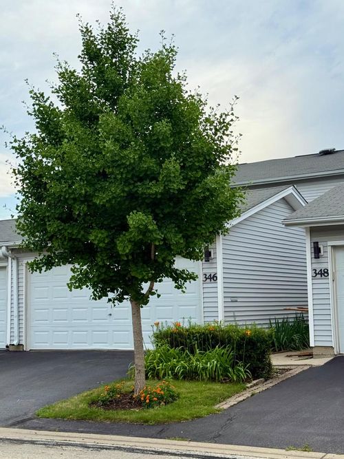 346 Hazelwood Ter, Buffalo Grove, IL, 60089-1822 | Card Image