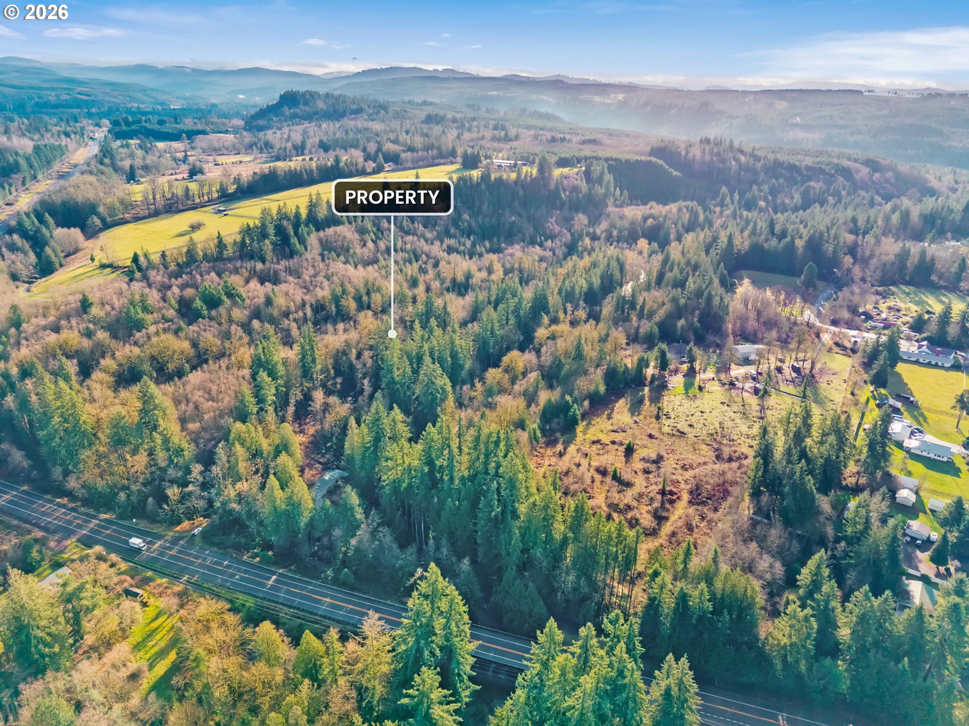 Land in Mossyrock 2