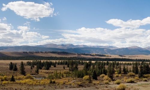 223 Breakneck Pass Rd, Fairplay, CO, 80440 | Card Image