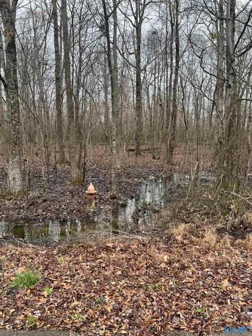 Lot 17 Jessica Dr, Toney, AL, 35773 | Card Image