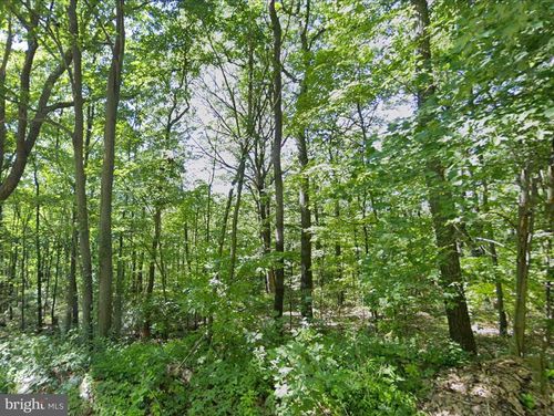 00 Weavers Wood Road, Saxton, PA, 16678 | Card Image