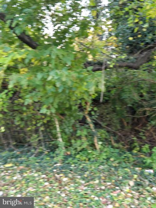 26519 3 Bridges Rd, FEDERALSBURG, MD, 21632-1946 | Card Image