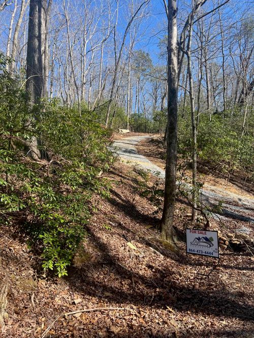 0000 E Lakeshore Dr, LANDRUM, SC, 29356 | Card Image