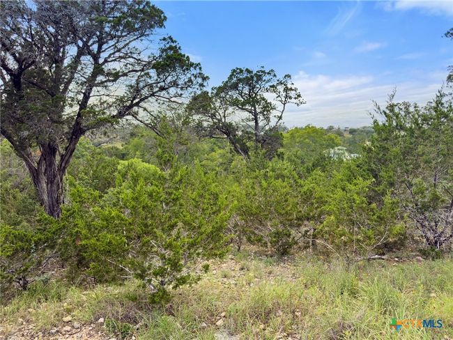 128 Enigma Ave, Home with 0 bedrooms, 0 bathrooms and null parking in Spring Branch TX | Image 4