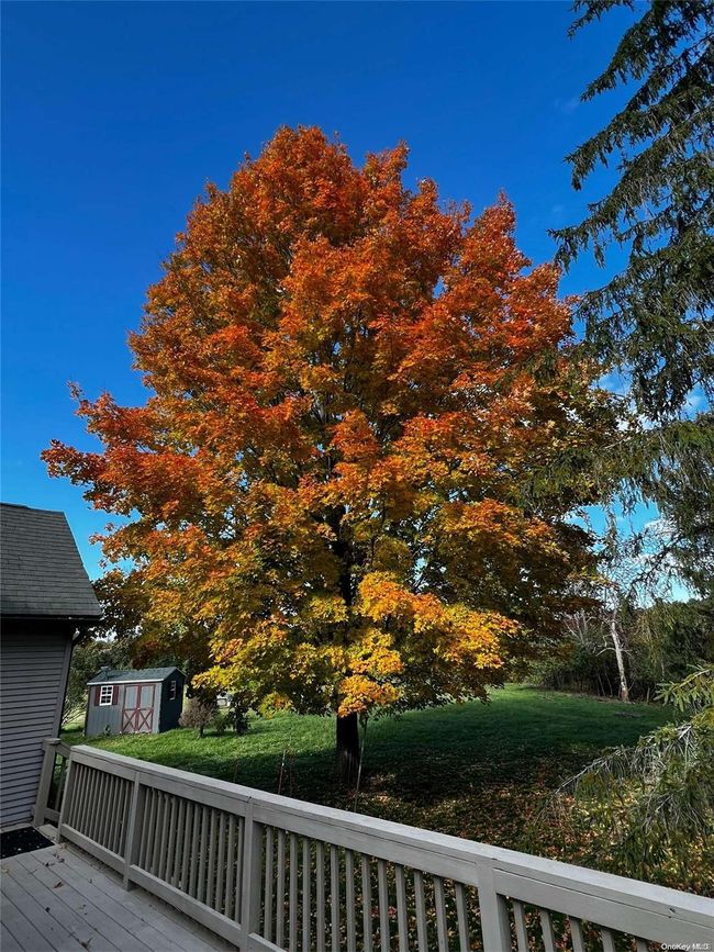 188 Mccafferty Rd, House other with 3 bedrooms, 2 bathrooms and null parking in Greenville NY | Image 33