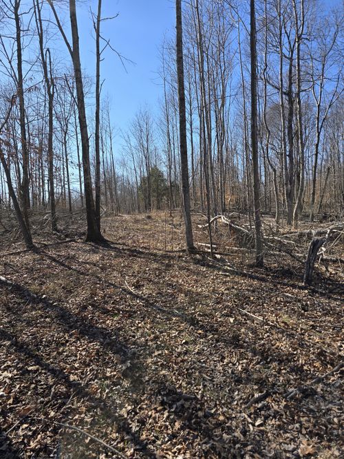 0 Honey Fork Rd, Indian Mound, TN, 37079 | Card Image