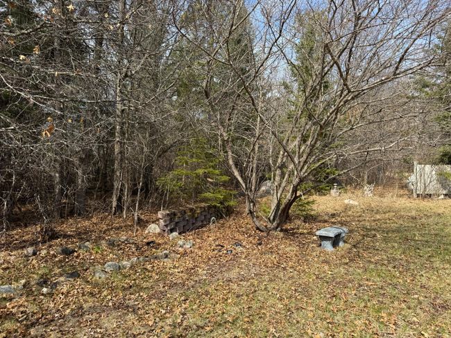 Backyard | Image 45