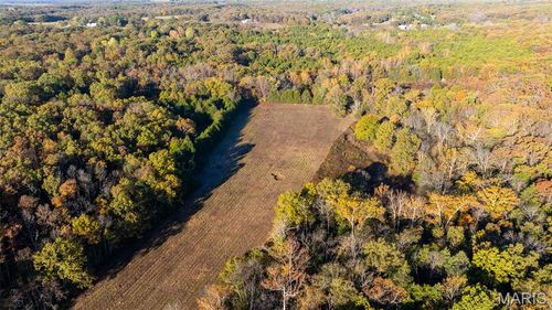 000 Oak Forest Rd, Bland, MO, 65014 | Card Image