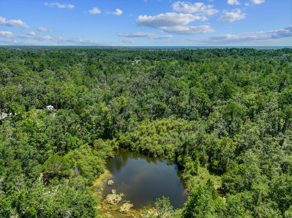 Land in Steinhatchee 3