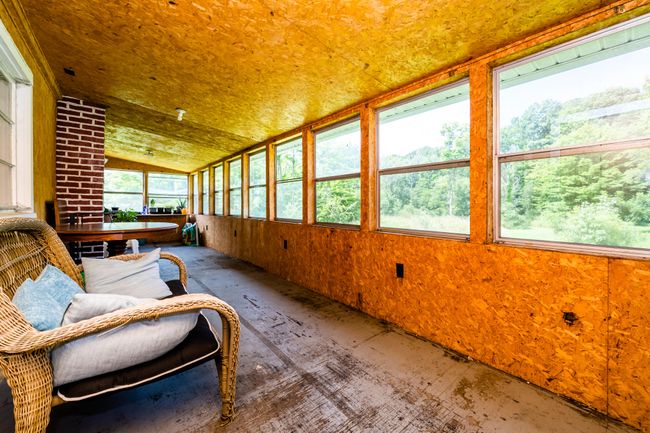 Paw Paw Lk-112 | Image 12