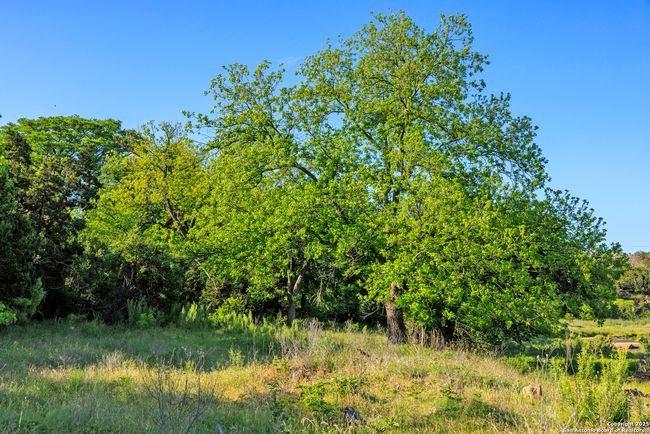 0000 Langes Mill Rd, Home with 0 bedrooms, 0 bathrooms and null parking in Doss TX | Image 22
