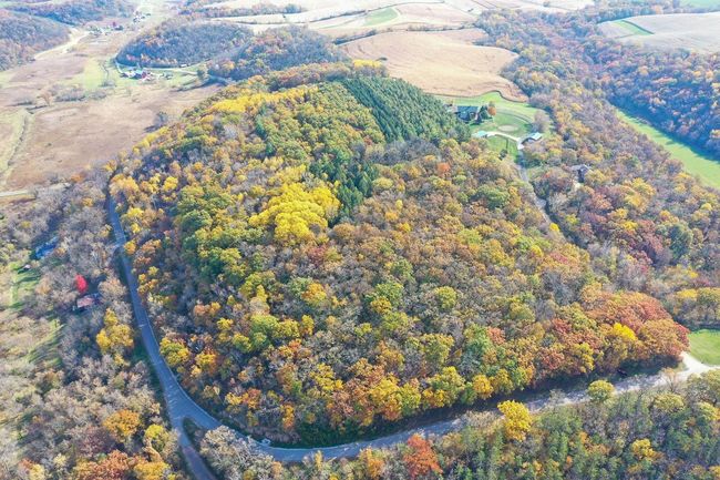 28.7 Acres Turkey Road, Home with 0 bedrooms, 0 bathrooms and null parking in BERRY WI | Image 4