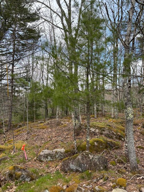 Lot 9 Aspen Drive, South Thomaston, ME, 04858 | Card Image