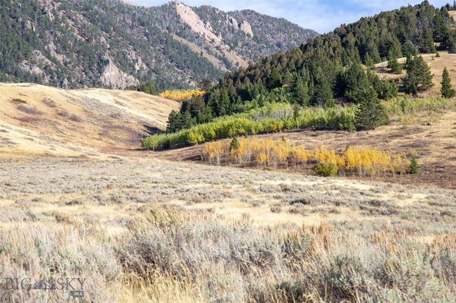 77 Gvt Lot 6 Final Legal Tbd, Home with 0 bedrooms, 0 bathrooms and null parking in Cameron MT | Image 9