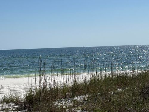 8890 W Highway 98, Port St. Joe, FL, 32456-6109 | Card Image