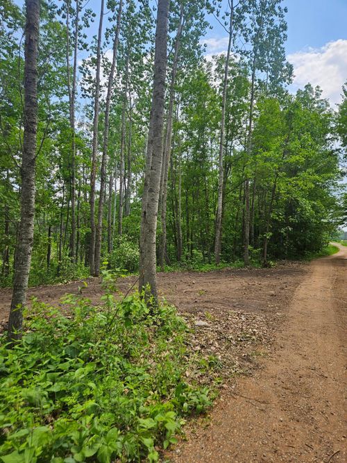 Parcel E Rogue Way, Ironton, MN, 56455 | Card Image