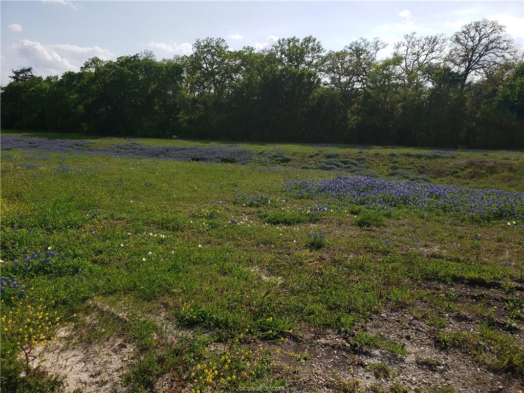 Land in Brenham 4