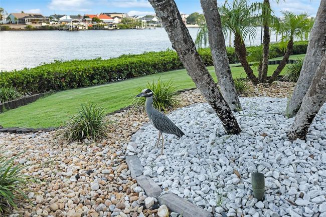 6605 Seabird Way, House other with 4 bedrooms, 4 bathrooms and null parking in APOLLO BEACH FL | Image 47