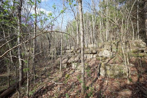 107 Pindall Road, Pindall, AR, 72669 | Card Image