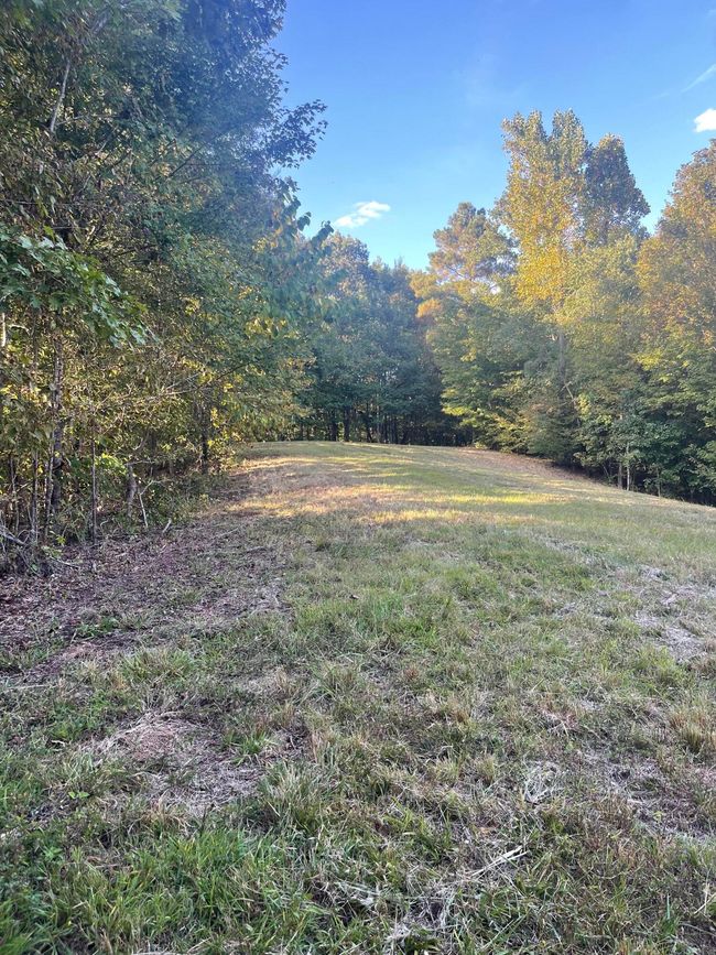 450 County Road 28, House other with 4 bedrooms, 3 bathrooms and null parking in Calhoun TN | Image 124