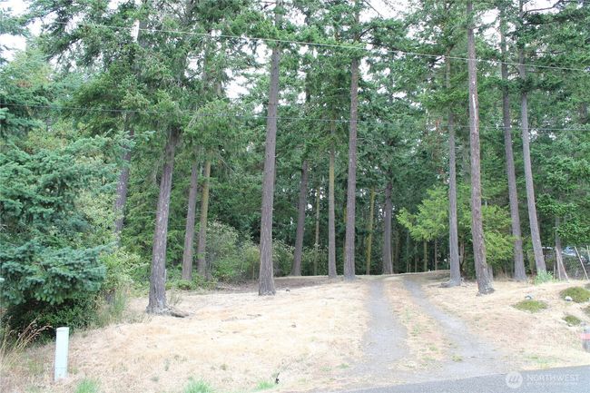 Cleared lot ready to build | Image 6