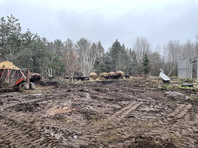 10138 Highway 64 N/A S, Home with 0 bedrooms, 0 bathrooms and null parking in West Nipissing ON | Image 12