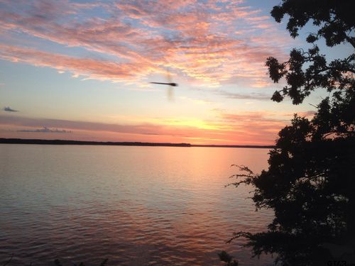 489 Martha St, Bullard, TX, 75757-6319 | Card Image