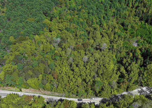 Lot 2-2 Riverbend Rd, Brownfield, ME, 04010-4852 | Card Image