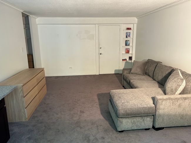 APT-2C - 1340 Dearborn St, Condo with 0 bedrooms, 1 bathrooms and null parking in CHICAGO IL | Image 7